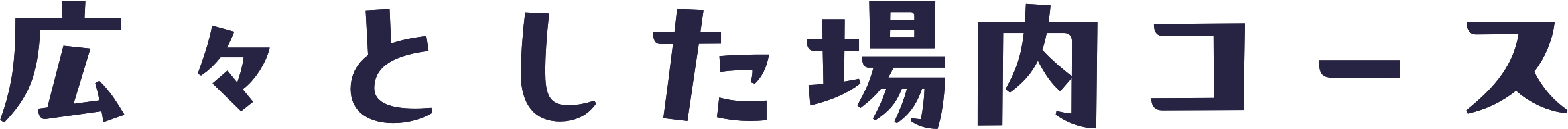 広々とした場内コース